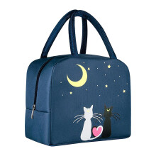 Isolierte Lunchtasche aus Canvas mit großem Fassungsvermögen