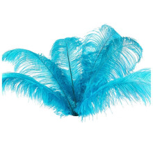 Ostrich Feathers Lake Blue 20-25cm 10 pcs