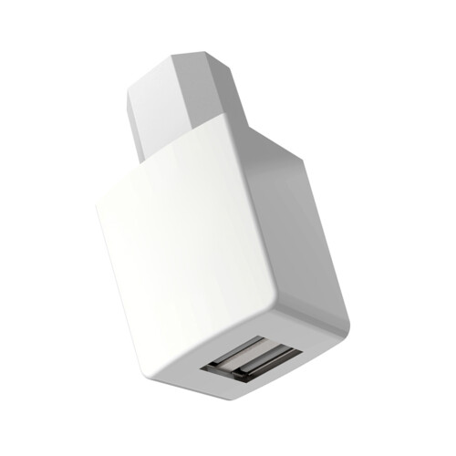 Oplaadadapters Plastic textuur voor-Witte dubbele USB