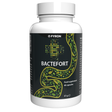 Bactefort – 60 Kapseln