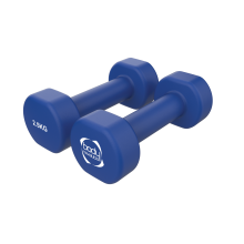 Lot de 2 Haltères 2,5 kg en Néoprène Bleu Musculation Entraînement à Domicile