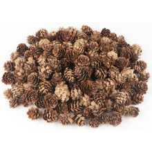 Natural Pine Cones for Crafts and Home Decor 30 Pcs