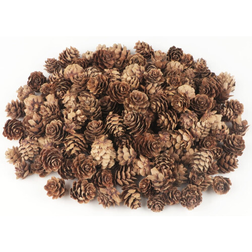 Natural Pine Cones for Crafts and Home Decor 30 Pcs