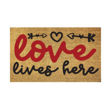 Valentine's Day Funny Love Doormat 30x45 cm