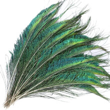 Penas de espada de pavão naturais, 30-35 cm, 10 unidades