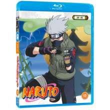 Naruto - Standard Edition Vol. 2