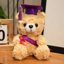 Ours en peluche violet de fin d'études, 18 cm