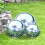 Reflekterande trädgårdsboll i rostfritt stål, 15 cm 1