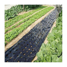 Hochwertige Gartenmulchfolie 10 m x 0,95 m, Unkrautvlies für den Gemüsegarten
