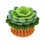 Green Plant Coaster Crochet Kit for Beginners with Hooks, Yarn & Tutorials 1