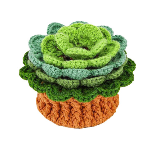 Green Plant Coaster Crochet Kit for Beginners with Hooks, Yarn & Tutorials