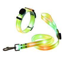 Guinzaglio per cani a LED ricaricabile tramite USB, fosforescente, impermeabile e sicuro per passeggiate notturne.