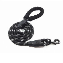 Set composto da guinzaglio e collare riflettenti per cani, in nylon da 0,8 cm e 1,5 m, per addestramento.