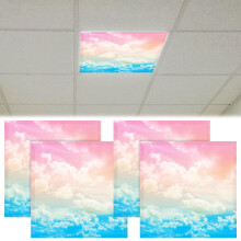 4 Pcs 2 x 2 Feet Fluorescent Light Covers Magnetic Ceiling Light Classroom Reducing Harsh Glare Flicker Led Filters Shield for Office Home Studio Sch