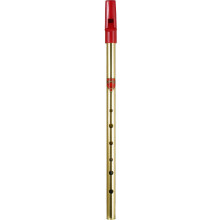 Brass D Generation Tin Whistle