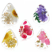5 Pcs Flower Guitar Picks, Dried Flower PET Guitar Picks Stylish Colorful Cool Guitars Pick Floral Bass Pick for Acoustic Guitars Electric Ukulele Ba