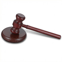 Gavel and Block Set - Wooden Gavel with Sound Block for Meetings Lawyers, Wood Judge Hammer for Court Auction and Student Mock Trials