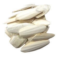 16-20cm Premium Quality Cuttlefish Bone Larger Size (Pack of 1) Suitable for Parrots, Cage Birds, Reptiles etc.