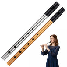 2 Pack 28CM Aluminum Alloy 6 Hole D Tune Penny Whistle, Tin Whistl Set, Tin for Beginners, and Expert Band Performances, Folk Music Instrument (Gold