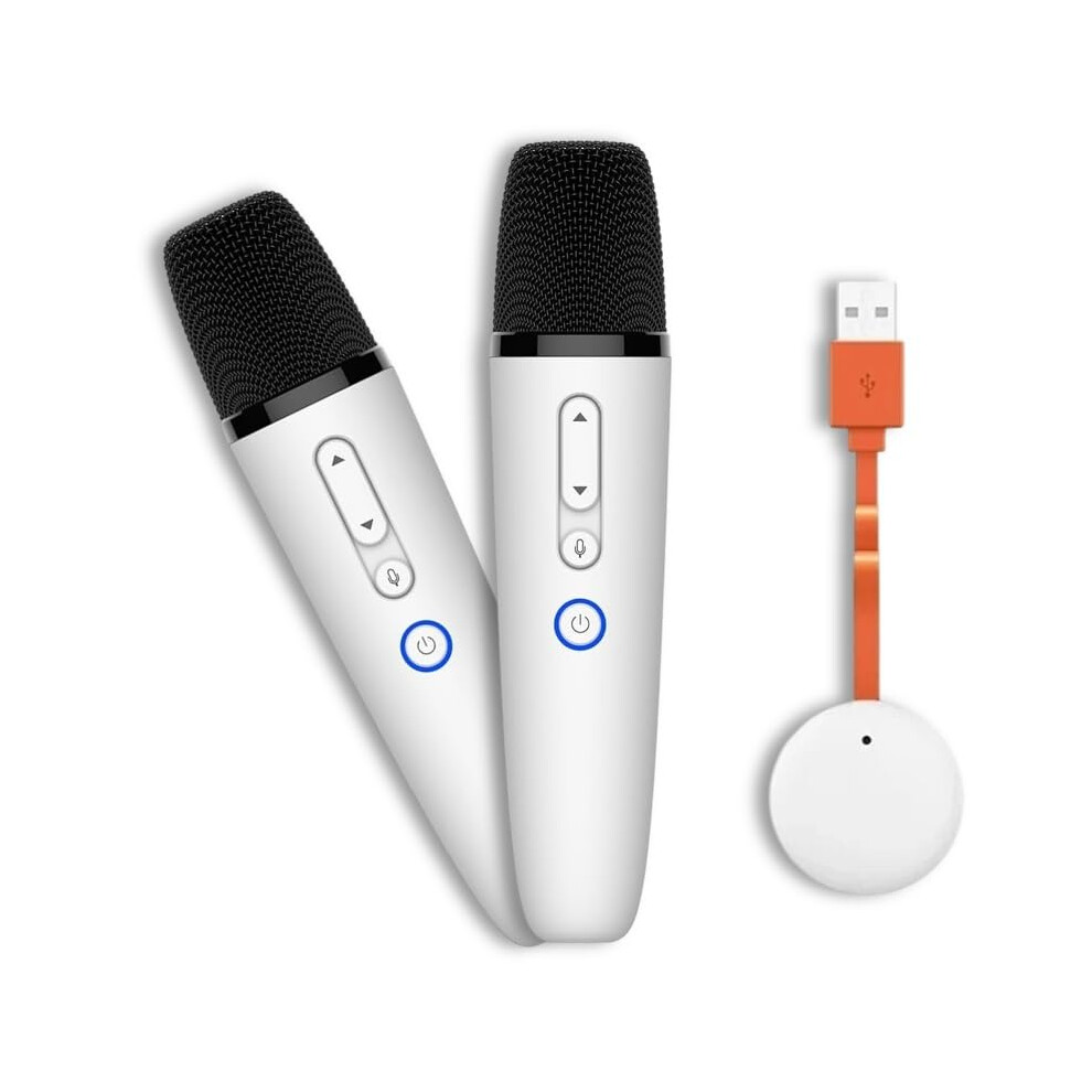 Mr Entertainer's Karaoke Collection Byd/Jaecoo Official Dual Wireless Karaoke Microphones