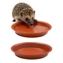 MAJOYLIFE Hedgehog Food And Water Bowls, Hedgehog Bowl Set of 2, Low-Profile Design for Easy Access,14 cm Wide, 2 cm Deep, Ideal for Outdoor Wildlife