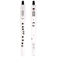Carry-on Digital Wind Instrument 2 Plus- 20 Voices, Built-In USB Rechargeable Battery, Headphones Output for Silent Practice, Midi Over Bluetooth Dig
