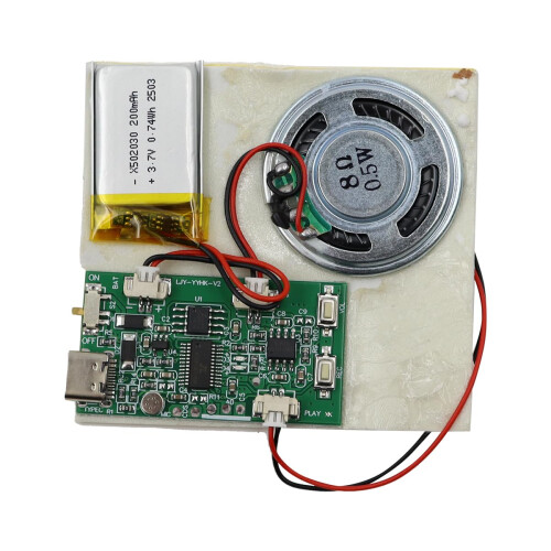 Nicear Recordable Sound Chip Plays Multiple Recordings Push Button Con