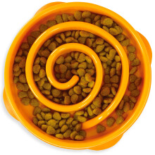 Outward Hound Slow Feeder Dog Bowl - Makes Meal Time Fun, Slows Down Eating, Promotes Healthy Digestion, Prevents Bloat | Slip Resistant and Durable,