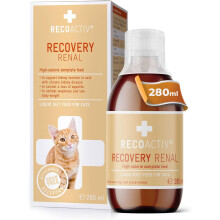 RECOACTIV Recovery Renal for cats, 1 x 280 ml, high-calorie complete diet food for cats with kidney dysfunction and increased energy requirements dur