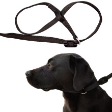 Gencon - All-in-One Anti Pull Dog Lead and Headcollar - Trainer Approved - Figure of 8 Dog Lead with Soft Loop Handle, Gentle Control - Left Hand - W
