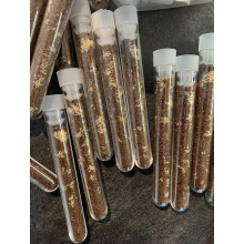 Live Springtail Starter Colony 1ml scoop 250+ Bioactive Reptile Livefood Terrarium
