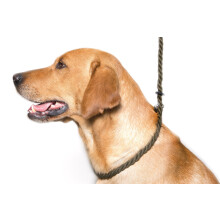 Dog & Field Deluxe Gundog Slip Lead - Olive Green. Soft Spliced Marine Rope Slip Lead For Dogs With Rubber Stopper, Easy To Slip On, No Collar Or Har