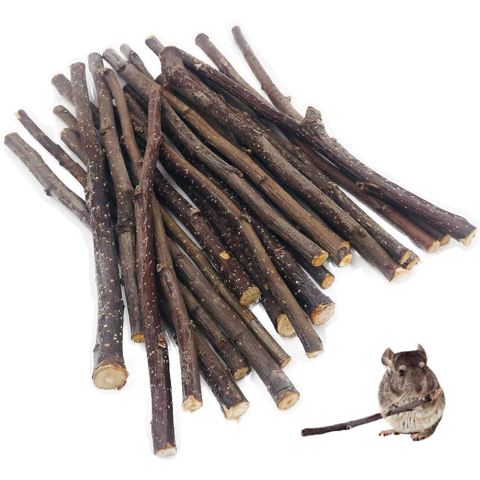 William Craft Apple Sticks Pet Chew Toy Treats For Chinchilla Guinea Pigs Rabbits Squirrel Hamster Bunny (100G)