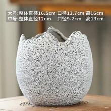 Ceramic Succulent Planter Egg Shape Design Earthenware Pot for Indoor Plants Home Office Decor