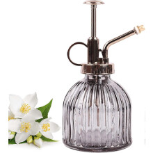 Glass Plant Watering Sprayer 230ml with Top Pump, One-Handed Garden Watering Can for Indoor Plants, Grey