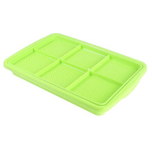 Double Layer Sprouter Tray for Wheatgrass, Seed Germination & Vegetable Storage, Green PP