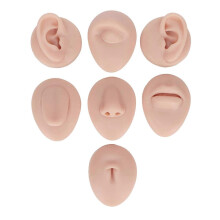 Soft Silicone Flexible Model Body Part Displays Set
