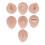 Soft Silicone Flexible Model Body Part Displays Set 1