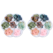 Decoratieve gedroogde bloemen, perfect voor knutselprojecten, veilig materiaal dat een gezonde toepassing garandeert, echte gedroogde b