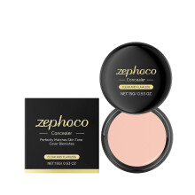 Light Skin Concealer Palette for Natural Flawless Finish | Covers Blemishes & Pores | Long-Lasting, Skin-Friendly Formula for Oily & Combination Skin