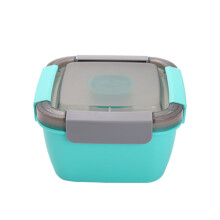 Boîte à bento double couche étanche - Plastique compatible micro-ondes,