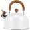 Stainless Steel Whistling Tea Kettle 3L 1
