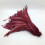 Rooster Tail Feathers Natural Beige Wine Red 50 pcs 1