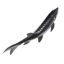 Künstliches Störfisch-Modell für Meerestier-Dekoration, realistische Dekofigur aus Kunststoff für Aquarium, Regal und Wohnraum