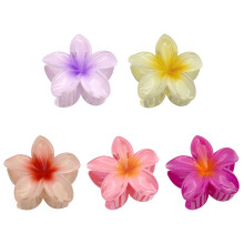 5 Píosa Gearrthóg Gruaige Blátha Haváíocha gleoite do mhná, neamhshleamhnacha, galánta, oiriúintí gruaige plumeria
