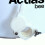 Manual 2 frame Plastic Honey Extractor - Actiasbee 2