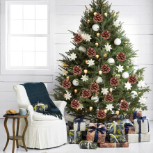 Ensemble de décorations de sapin de Noël en pommes de pin