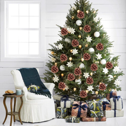 Ensemble de décorations de sapin de Noël en pommes de pin