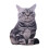 3D Plush Cat Accent Pillows Decorative Cushions 2 Pack 2