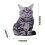 3D Plush Cat Accent Pillows Decorative Cushions 2 Pack 3